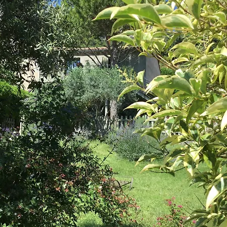 La Cabane De Pepe Emilien *